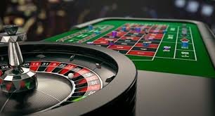 5577bet